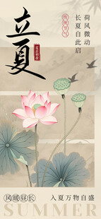 立夏时节荷花绽放