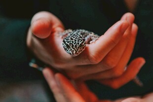 手中闪耀的精致珠宝戒指