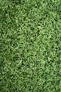 翠绿人造草坪纹理特写