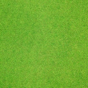 翠绿草地纹理背景图