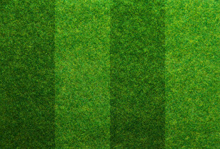 翠绿条纹背景纹理