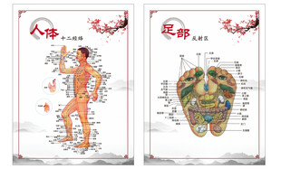 人体穴位图