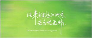 春天春日展板