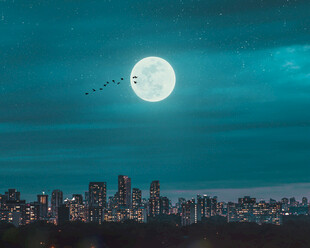 月亮