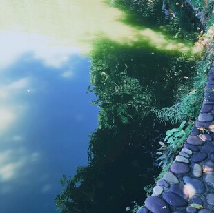 湖畔绿意小径 梦幻倒影