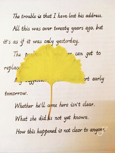 银杏叶标本旁的励志英文文案