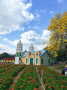 田园教堂旁的绚丽花田