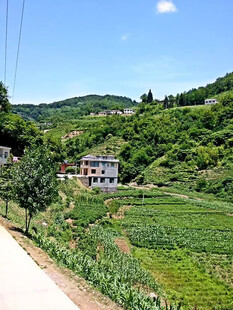 乡村田园风光美景 乡村美景