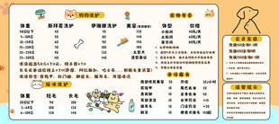 猫狗宠物洗护