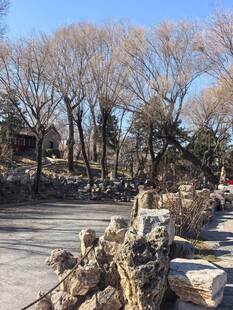 冬天的宋庆龄故居