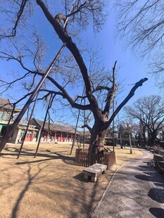 冬天的宋庆龄故居