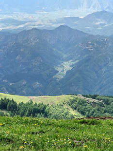 高山草甸