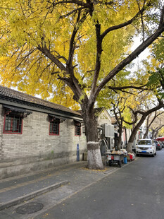 老北京胡同