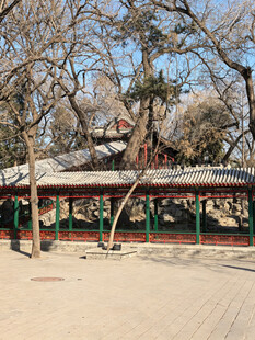 恭王府