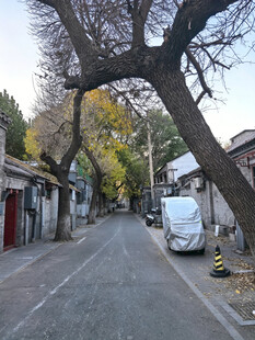 老北京胡同