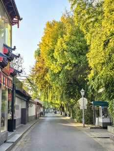 老北京胡同