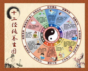 十二经络图
