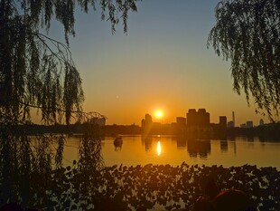 湖畔夕阳垂柳美景如画