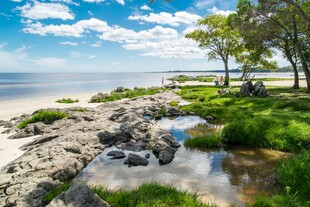 海滨风光岩石绿植与湖水