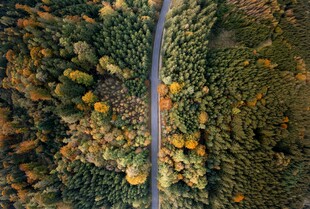秋日林间公路俯瞰美景