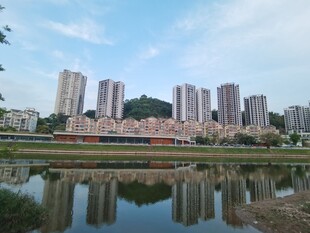 湖畔高楼景致