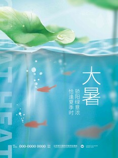 大暑海报 