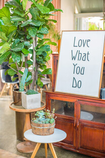 室内绿植装饰与励志标语