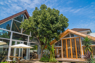 阳光木屋旁的绿意景致