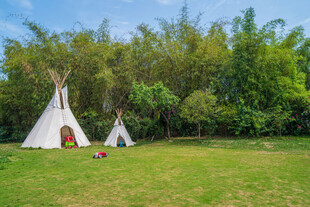 草地上的锥形帐篷