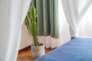 卧室角落绿植与蓝色床铺