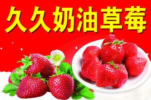 久奶油草莓新鲜诱人