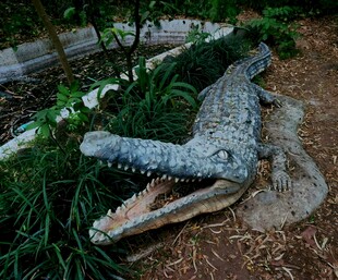 仿真鳄鱼摆件置于绿植间