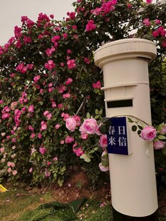花丛中的复古邮筒