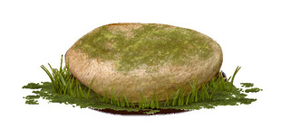 长满青苔的圆形石头