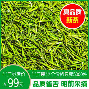 新茶上市 真品质明前绿茶