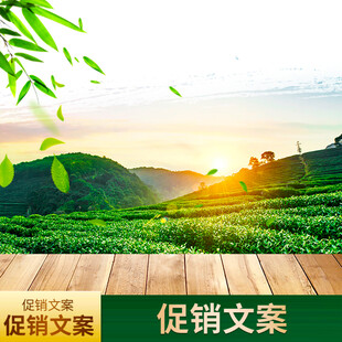 春日茶园促销场景