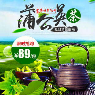 蒲公英茶限时特惠促销