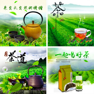 品味茶香共赏茶道之美