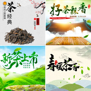 春茶上市品味清新茶香