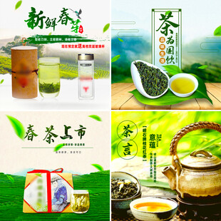 绿茶产品展示