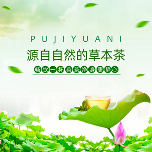 源自自然的草本茶饮