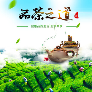 品茶之道茶园中的悠然意境