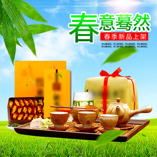 春意盎然的中式茶礼套装