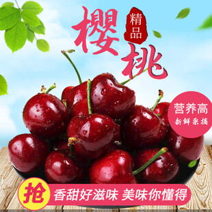 精品樱桃 色泽诱人超美味