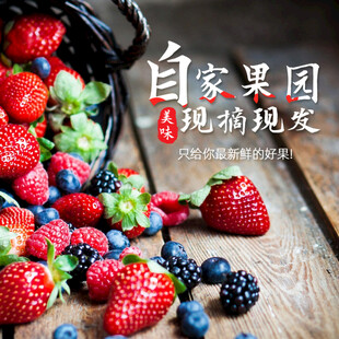 新鲜果园莓果现摘现发
