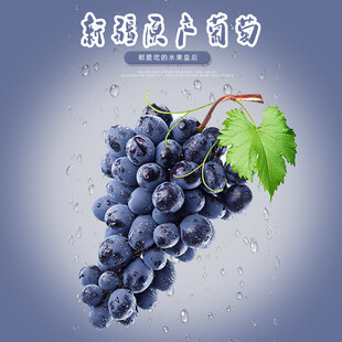 新鲜紫葡萄水润饱满诱人