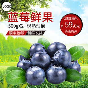 新鲜蓝莓鲜果促销