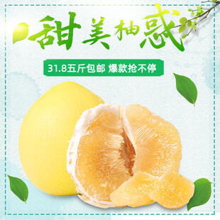 甜美柚子果肉饱满超诱人