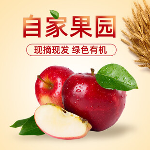 自家果园现摘现发红苹果