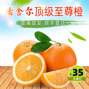 春见柑橘 新鲜多汁超美味